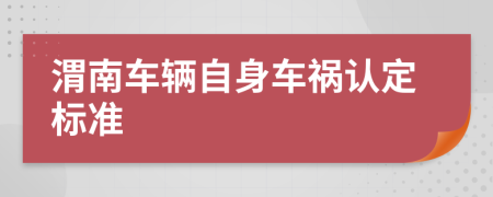 渭南车辆自身车祸认定标准