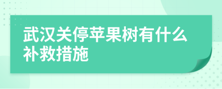 武汉关停苹果树有什么补救措施