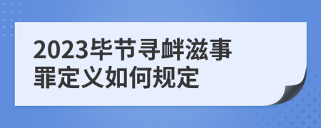 2023毕节寻衅滋事罪定义如何规定