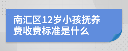 南汇区12岁小孩抚养费收费标准是什么