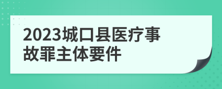 2023城口县医疗事故罪主体要件