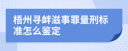 梧州寻衅滋事罪量刑标准怎么鉴定