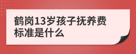 鹤岗13岁孩子抚养费标准是什么