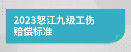 2023怒江九级工伤赔偿标准