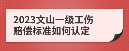 2023文山一级工伤赔偿标准如何认定