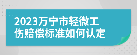 2023万宁市轻微工伤赔偿标准如何认定