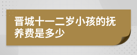 晋城十一二岁小孩的抚养费是多少