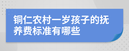 铜仁农村一岁孩子的抚养费标准有哪些