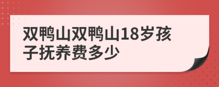 双鸭山双鸭山18岁孩子抚养费多少