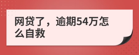 网贷了，逾期54万怎么自救