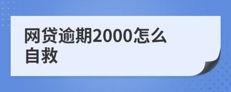 网贷逾期2000怎么自救