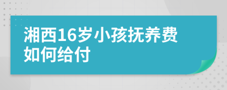 湘西16岁小孩抚养费如何给付