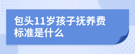 包头11岁孩子抚养费标准是什么