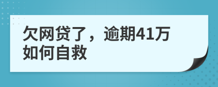 欠网贷了，逾期41万如何自救