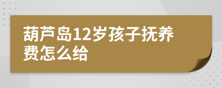 葫芦岛12岁孩子抚养费怎么给