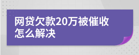 网贷欠款20万被催收怎么解决