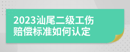 2023汕尾二级工伤赔偿标准如何认定