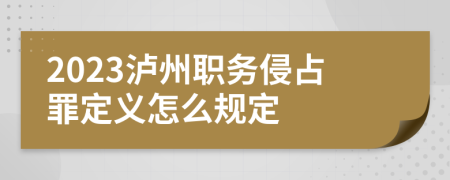 2023泸州职务侵占罪定义怎么规定