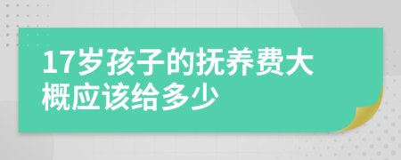 17岁孩子的抚养费大概应该给多少