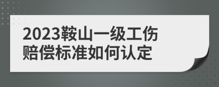 2023鞍山一级工伤赔偿标准如何认定