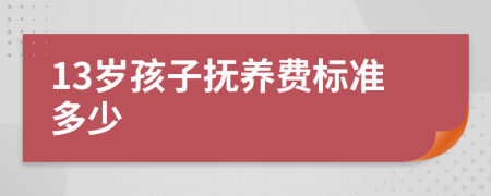 13岁孩子抚养费标准多少