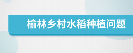 榆林乡村水稻种植问题