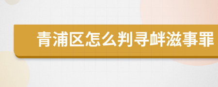 青浦区怎么判寻衅滋事罪