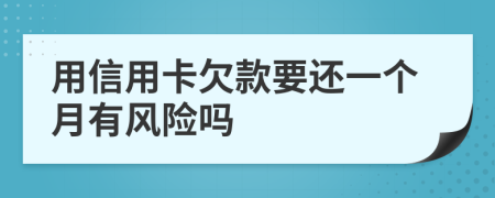 用信用卡欠款要还一个月有风险吗