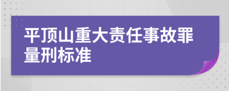 平顶山重大责任事故罪量刑标准