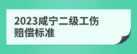 2023咸宁二级工伤赔偿标准