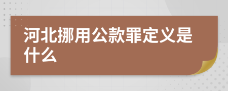 河北挪用公款罪定义是什么