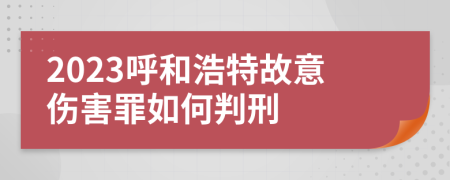 2023呼和浩特故意伤害罪如何判刑