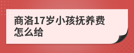 商洛17岁小孩抚养费怎么给