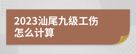 2023汕尾九级工伤怎么计算