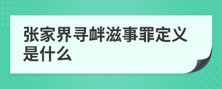 张家界寻衅滋事罪定义是什么