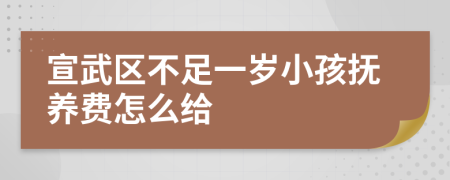 宣武区不足一岁小孩抚养费怎么给