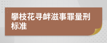 攀枝花寻衅滋事罪量刑标准