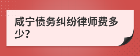 咸宁债务纠纷律师费多少？