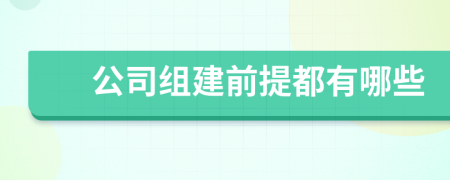 公司组建前提都有哪些