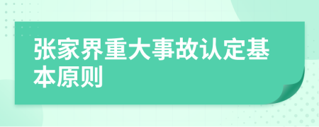 张家界重大事故认定基本原则