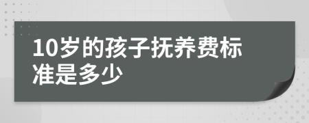 10岁的孩子抚养费标准是多少