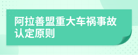 阿拉善盟重大车祸事故认定原则