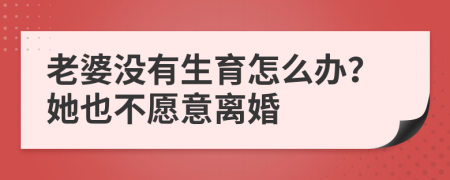 老婆没有生育怎么办？她也不愿意离婚