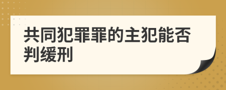 共同犯罪罪的主犯能否判缓刑