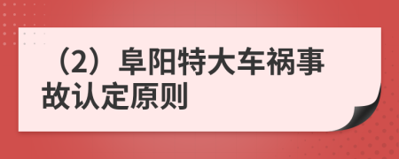 （2）阜阳特大车祸事故认定原则