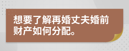 想要了解再婚丈夫婚前财产如何分配。