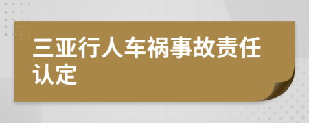 三亚行人车祸事故责任认定