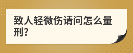 致人轻微伤请问怎么量刑?