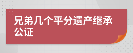 兄弟几个平分遗产继承公证