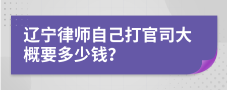 辽宁律师自己打官司大概要多少钱？